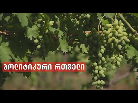 პოლიტიკური რთველი და „ოცნების\" შემომწირველებზე მორგებული სუბსიდია