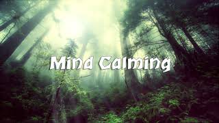 Mind Calming | Soft Piano Music with Bird Sounds (for Anxiety, Stress etc.)