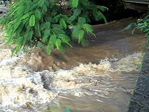 Observando afluente do rio - 100_1169.AVI - YouTube Sérgio Braga