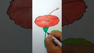 drawing hibiscus using ring or bangles #shorts #easyway #জবা #arabic #song #love #religion #art