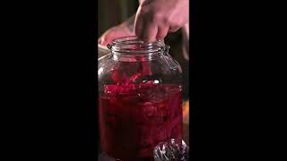 Pinkoyster Mobilversion