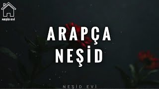 Arapça Neşid Nasheed