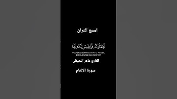 تلاوة عطرة Quran