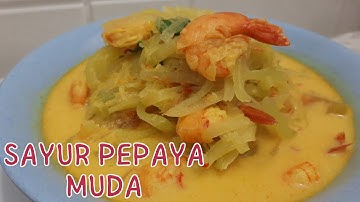 RESEP SAYUR PEPAYA MUDA SANTAN, "CARA MASAK SAYUR PEPAYA MUDA"