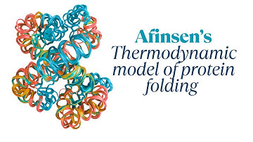 Anfinsen’s thermodynamic model of protein folding explained 🧬