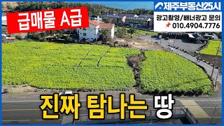 [매물번호0321] 산방산 밑 사계리 최고 위치 탐나는 토지 급매물 건축허가까지#제주도부동산