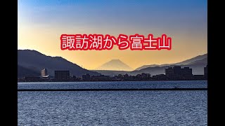 諏訪富士 富士 HBF75(FUJI MoreZ/7.5インチ) ハサミ屋はやし