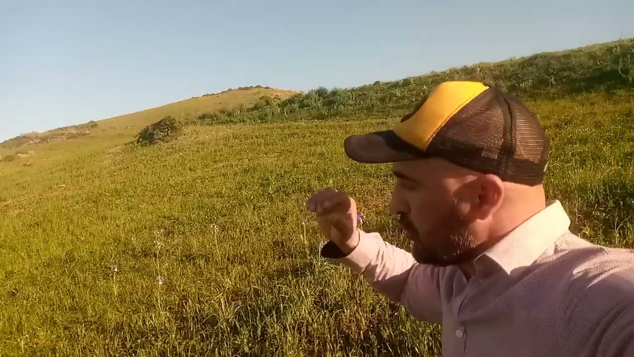 فصل الربيع،😀🌲🌲🌲😀👉