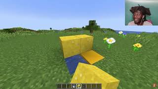 25 Fake Minecraft "Facts" You Still Believe Reaction!