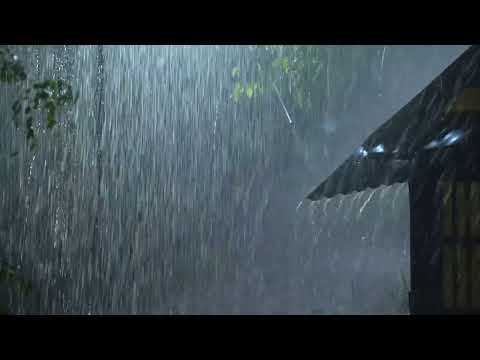 تلاوة خاشعة يجعلك تنعزل عن العالم مع نزول المطر القارئ حمزة بوديب