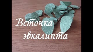 ЭВКАЛИПТ/ ВЕТОЧКА С ЛИСТИКАМИ ИЗ ГОФРИРОВАННОЙ БУМАГИ.