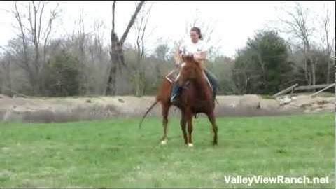 OneQuickCat    ***For info, price, etc., go to our website***     Valley View Ranch