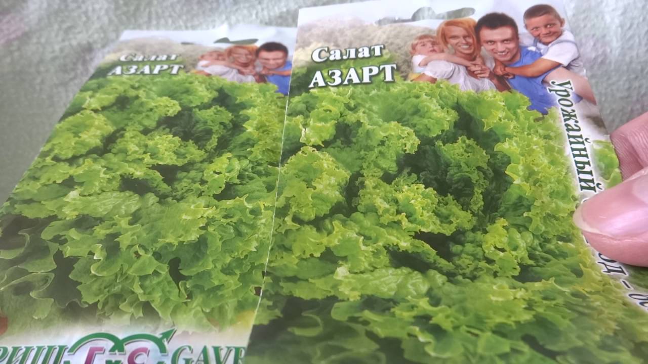 Гузель имя какой национальности изображения Гузель имя какой национальности изоражения