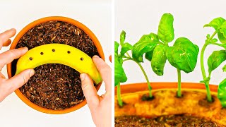 Aus Samen Pflanzen machen 🌱 17 Tricks, die auch OHNE GARTEN klappen!