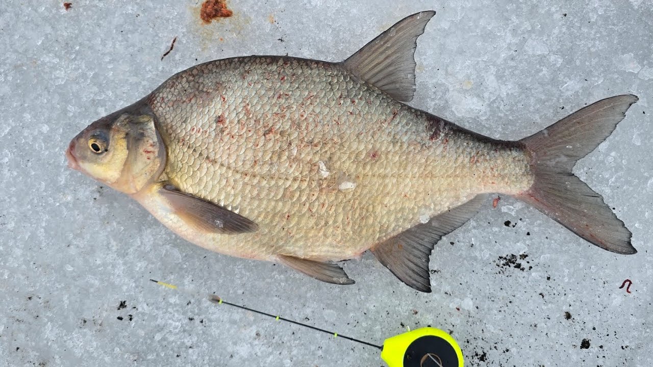 LESZCZOVE LOVE THE MÓVIE. Czyli prawie godzina nudy. Team szmaciarze underajs series