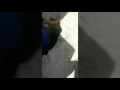 منوين منوين