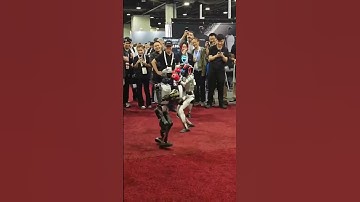 Robot cũng biết đấm nhau? Công nghệ này đi trước thời đại! #robot #boxing