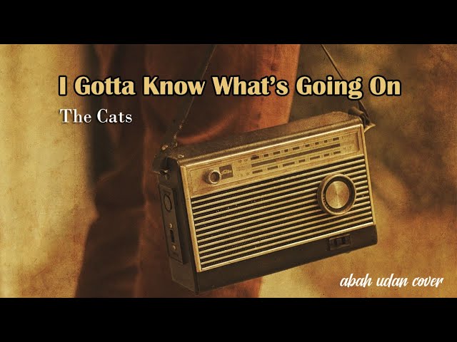 I Gotta Know What's Going On (The Cats) - abah udan cover class=