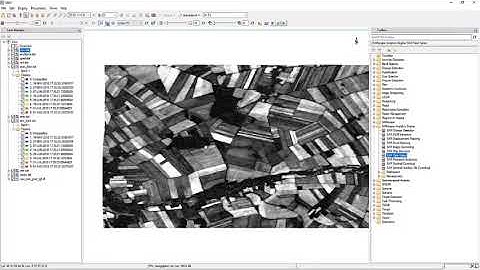 ENVI SARscape Analytics