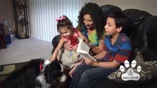 Albuquerque Animal Welfare - Dogs PSA