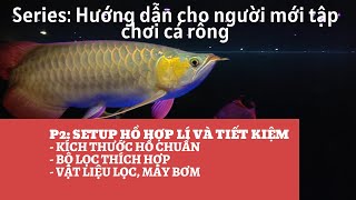 CÁCH NUÔI CÁ RỒNG CHO NGƯỜI MỚI CHƠI- P2: KÍCH THƯỚC HỒ VÀ LỌC NUÔI CÁ RỒNG CHUẨN VÀ TIẾT KIỆM