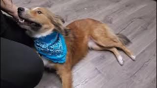 561188762 24712995385030415 5656851067119048542 n