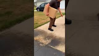 Hawk Drops Prey Right at Delivery Guy