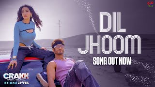 Maine Tujhe Dekha Haste Hue Galo Mein Ali Zafar | New Version 2024 chords
