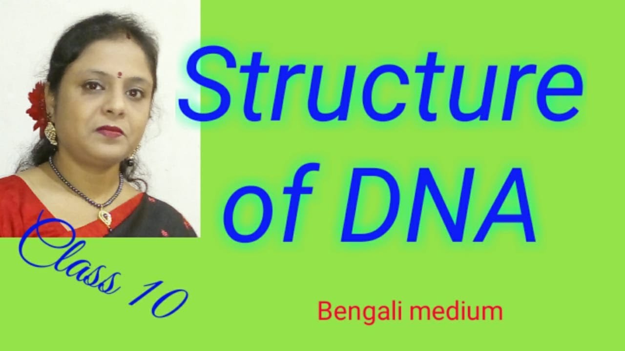 Structure of DNA - YouTube