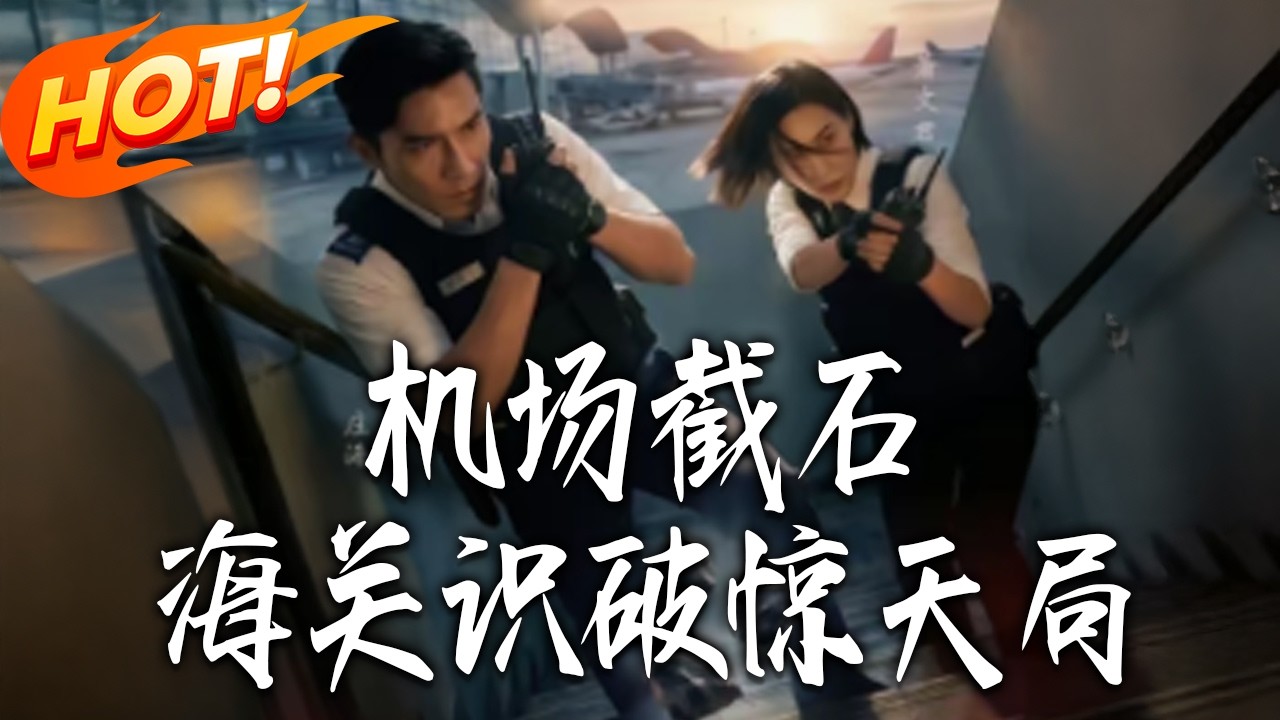 機場截石：海關少年的驚天局