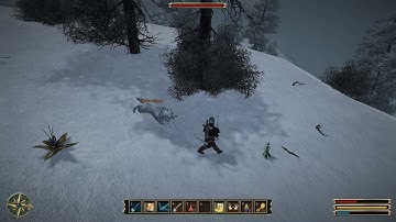Gothic 3. Debunking overpowered wolves myth.