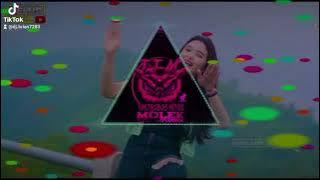 DJ BRIAN YANG PERTAMA KALI -JUNGLE DUTCH 2024