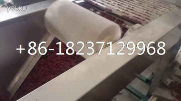 automatic red jujube olive ring slicing cutting machine date hawthorn slice cutting machine