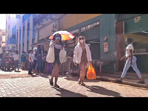 Un lugar escondido en la Cuba real / LA MÚSICA EN EL CALLEJÓN DE HAMEL 🇨🇺