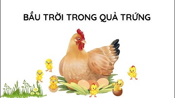 Bầu trời trong quả trứng - Tiếng Việt 4 (Kết nối tri thức với cuộc sống) [OLM.VN]