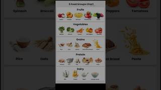 What are the 5 Main Food Groups? | Balanced Diet Guide #viral #shorts #health #youtubeshorts
