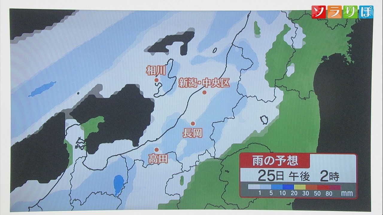 溢れかえる岸辺 Flooded Strand x2 溢れかえる岸辺 Flooded Strand x2