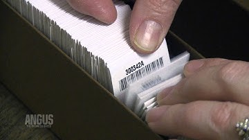 The Angus Report, Feb. 6, 2012: Practical Applications