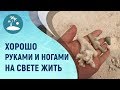 ХОРОШО РУКАМИ И НОГАМИ НА СВЕТЕ ЖИТЬ