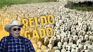 ELE É O VERDADEIRO REI DO GADO BRASILEIRO - 200 MIL CABEÇAS DE GADO! Resimi