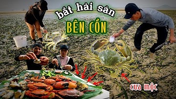 HET VANGEN VAN ZEEVRUCHTEN VIA HET EILAND ALS DE vloed terugkomt, LIGGEN ER VEEL ZEEVRUCHTEN OVER...