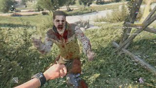 Dying Light 2 glitch