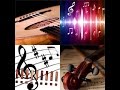 Music 6 عشوائيات 