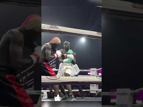 Highlights From Portable Vs Carter Efe Boxing Fight. thumbnail