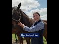 🇺🇸💙 Let’s meet the #GodolphinLifetimeCare rehoming herd!