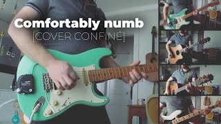 Comfortably numb [COVER] Pink Floyd — Jérôme THIERRY