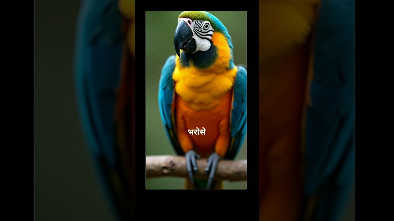 chota creative 😭😭 