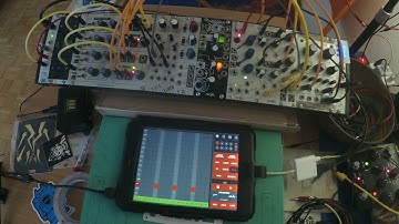 Sputnik Modular - Quad Function & Trigger Source - Pads