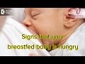 Signs that your breastfed baby is hungry - Dr.Deanne Misquita of Cloudnine Hospitals|Doctors’ Circle