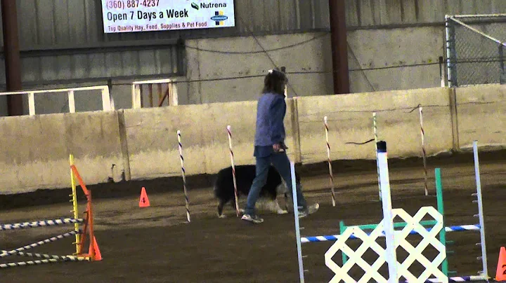 Ryder and Dorene.  AKC Agility Trial.  9/21/12.  N...